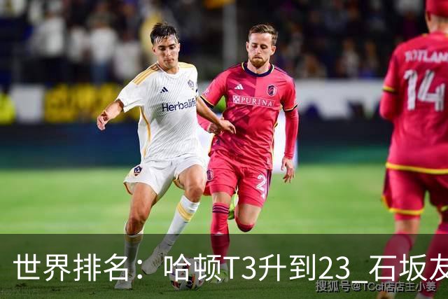 世界排名：哈顿T3升到23 石坂友宏日巡首胜412位